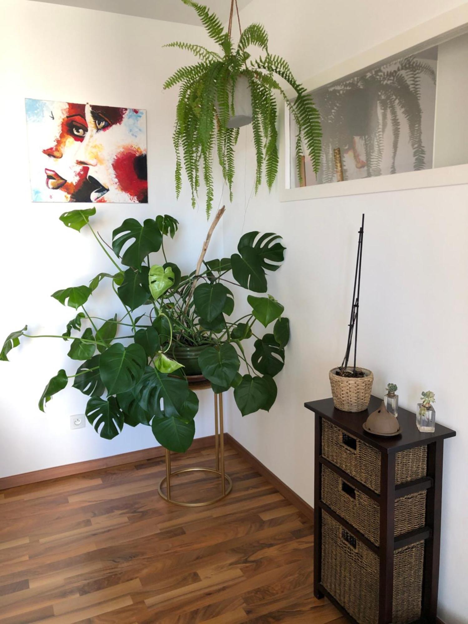 Bel Appartement Nimois Au Calme Avec Balcon Nîmes Exterior foto